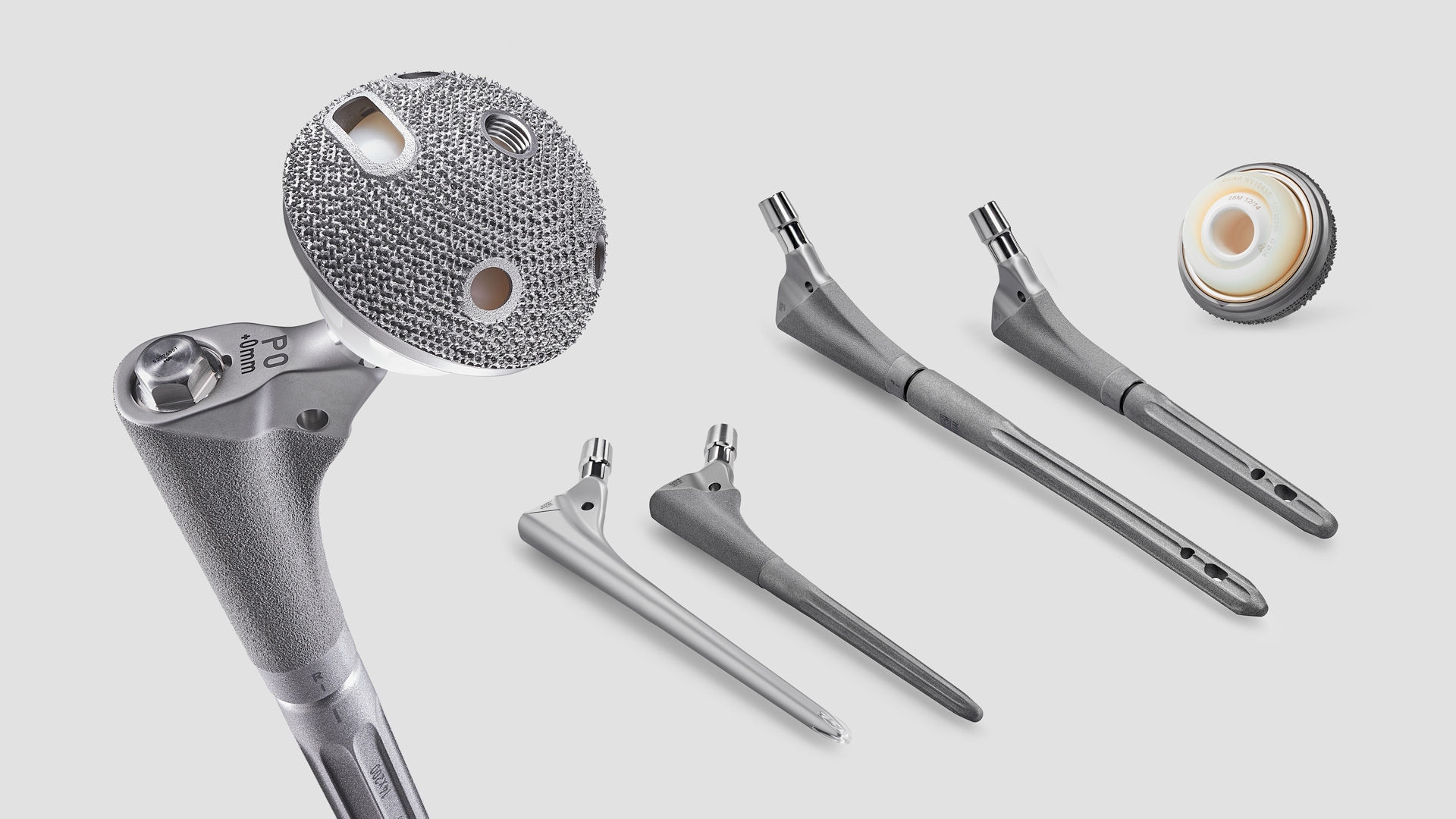 Aesculap hip revision product portfolio